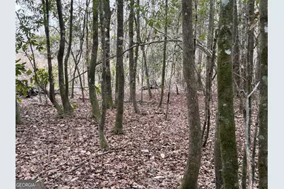 0 Eagle Pond / Old Smithville Road, Leesburg, GA 31763 - Photo 25