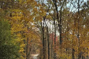 254 Ridgewood Rd, Clarkesville, GA 30523 - Photo 53