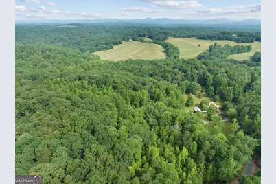 966 Wahoo Creek Road, Murrayville, GA 30564 - Photo 77