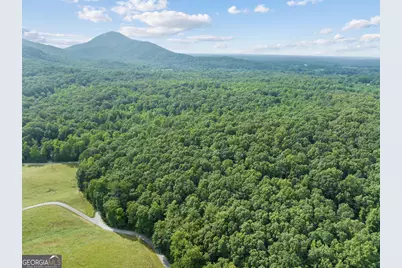 966 Wahoo Creek Road, Murrayville, GA 30564 - Photo 79