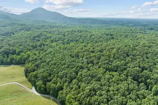 966 Wahoo Creek Rd, Murrayville, GA 30564 - Photo 79