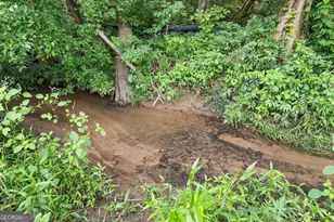 966 Wahoo Creek Rd, Murrayville, GA 30564 - Photo 69