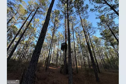 198 Culverton Church Road, Sparta, GA 31087 - Photo 47