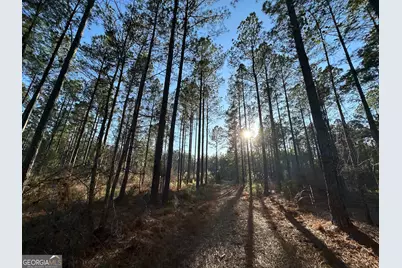 198 Culverton Church Road, Sparta, GA 31087 - Photo 39