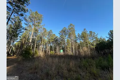 198 Culverton Church Road, Sparta, GA 31087 - Photo 41