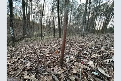 198 Culverton Church Road, Sparta, GA 31087 - Photo 79