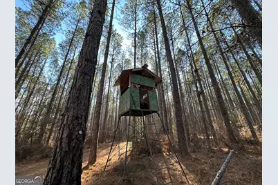 198 Culverton Church Road, Sparta, GA 31087 - Photo 25