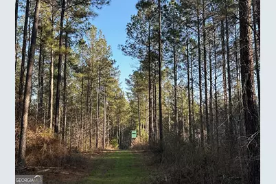 198 Culverton Church Road, Sparta, GA 31087 - Photo 57