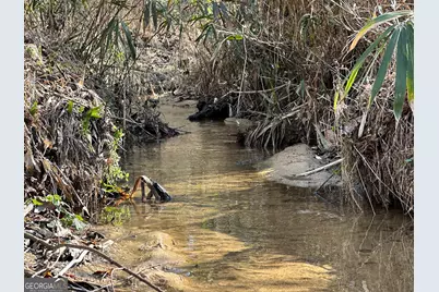 198 Culverton Church Road, Sparta, GA 31087 - Photo 15