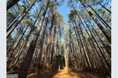 198 Culverton Church Road, Sparta, GA 31087 - Photo 23