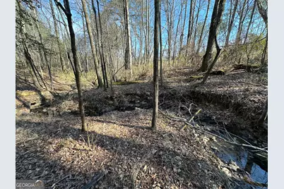 198 Culverton Church Road, Sparta, GA 31087 - Photo 17