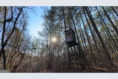 198 Culverton Church Road, Sparta, GA 31087 - Photo 93