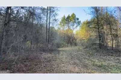 198 Culverton Church Road, Sparta, GA 31087 - Photo 89