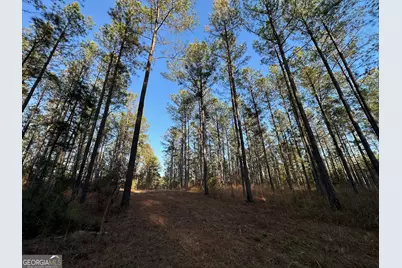 198 Culverton Church Road, Sparta, GA 31087 - Photo 49