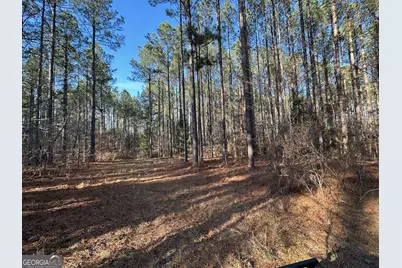 198 Culverton Church Road, Sparta, GA 31087 - Photo 27