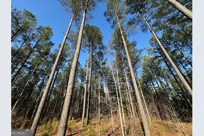 198 Culverton Church Road, Sparta, GA 31087 - Photo 29