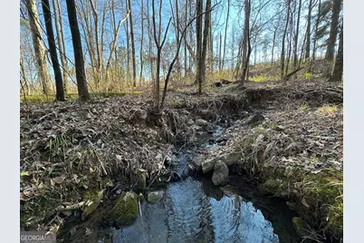 198 Culverton Church Road, Sparta, GA 31087 - Photo 67