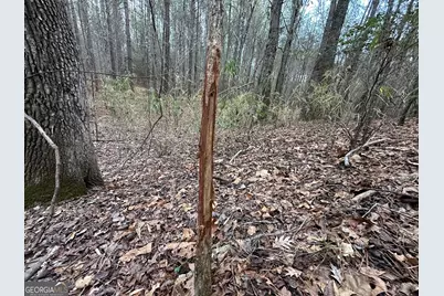 198 Culverton Church Road, Sparta, GA 31087 - Photo 77