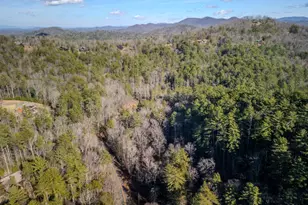 100 Stanley Creek Crossing, Blue Ridge, GA 30513 - Photo 45