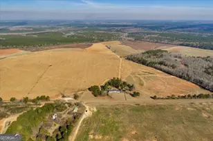 412 Red Dog Farm Rd, Cochran, GA 31014 - Photo 65