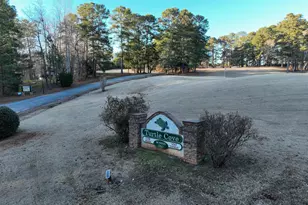 340 Starling Dr, Monticello, GA 31064 - Photo 41