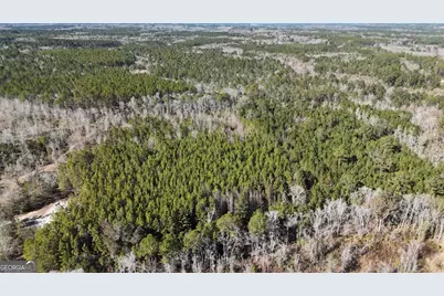 4501 Deloach Church Road, Claxton, GA 30417 - Photo 17