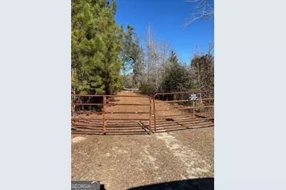 4501 Deloach Church Road, Claxton, GA 30417 - Photo 1