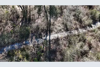 4501 Deloach Church Road, Claxton, GA 30417 - Photo 11