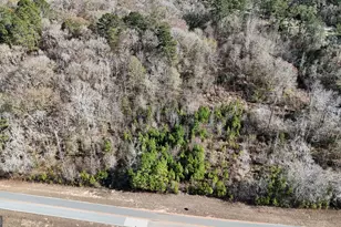 60 Anderson Rd, Claxton, GA 30417 - Photo 1