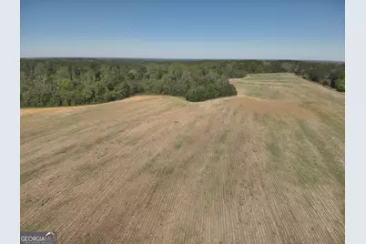 0 Old Pelham Road, Pelham, GA 31779 - Photo 5