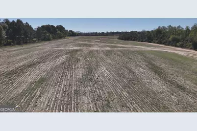 0 Old Pelham Road, Pelham, GA 31779 - Photo 3