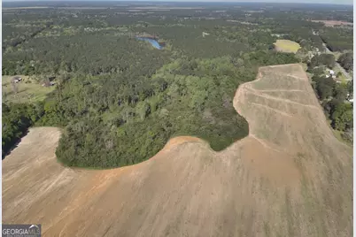 0 Old Pelham Road, Pelham, GA 31779 - Photo 1