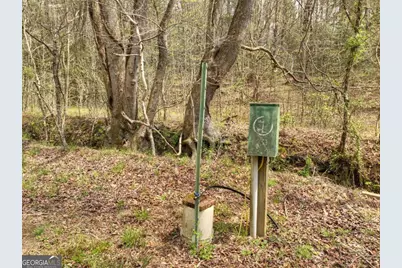 0 Hells Hollow Road, Blue Ridge, GA 30513 - Photo 43