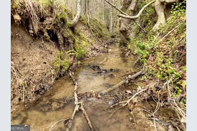 0 Hells Hollow Road, Blue Ridge, GA 30513 - Photo 41