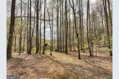 0 Hells Hollow Road, Blue Ridge, GA 30513 - Photo 35