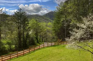 0 Hells Hollow Rd, Blue Ridge, GA 30513 - Photo 1