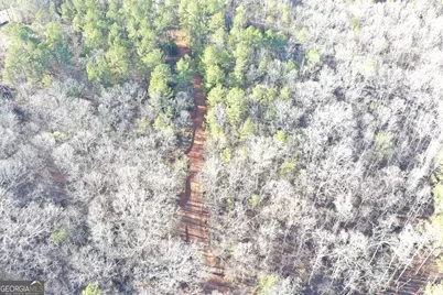 4427 County Line Road #206.61 ACRES, Mansfield, GA 30055 - Photo 45