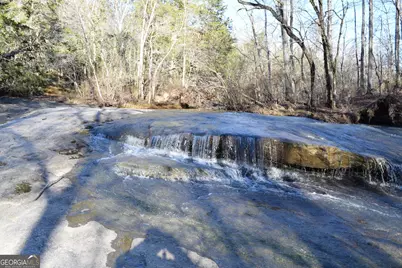 4427 County Line Road #206.61 ACRES, Mansfield, GA 30055 - Photo 13