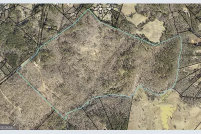 4427 County Line Road #206.61 ACRES, Mansfield, GA 30055 - Photo 3