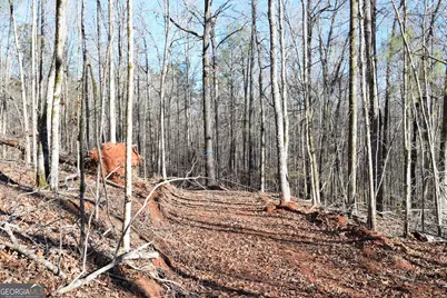 4427 County Line Road #206.61 ACRES, Mansfield, GA 30055 - Photo 21