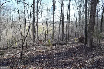 4427 County Line Road #206.61 ACRES, Mansfield, GA 30055 - Photo 29