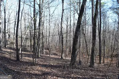 4427 County Line Road #206.61 ACRES, Mansfield, GA 30055 - Photo 9