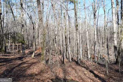 4427 County Line Road #206.61 ACRES, Mansfield, GA 30055 - Photo 19