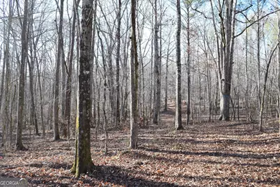 4427 County Line Road #206.61 ACRES, Mansfield, GA 30055 - Photo 27