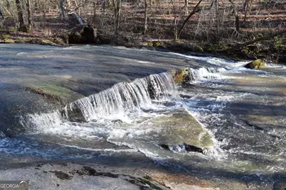 4427 County Line Road #206.61 ACRES, Mansfield, GA 30055 - Photo 15