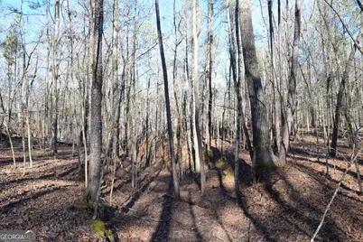 4427 County Line Road #206.61 ACRES, Mansfield, GA 30055 - Photo 23