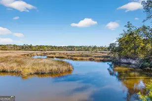 333 Bluffs Landing, Waverly, GA 31565 - Photo 3