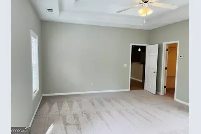 50 Rock Mill Court, Senoia, GA 30276 - Photo 35