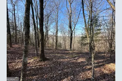 Lot 1640 Hunter Drive #1640, Talking Rock, GA 30175 - Photo 1