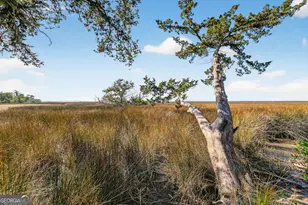105 Hawkins Island Cir, Saint Simons, GA 31522 - Photo 73